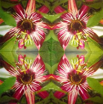 129 Flowers Others - 3 ply